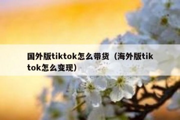 国外版tiktok怎么带货（海外版tiktok怎么变现）