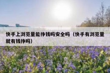 快手上浏览量能挣钱吗安全吗（快手有浏览量就有钱挣吗）