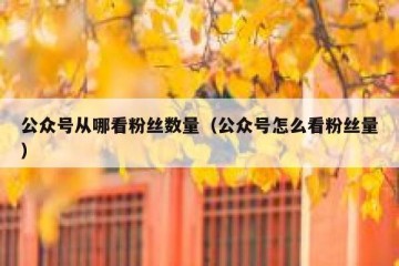 公众号从哪看粉丝数量（公众号怎么看粉丝量）
