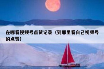 在哪看视频号点赞记录（到那里看自己视频号的点赞）