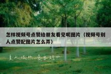 怎样视频号点赞给朋友看见呢图片（视频号别人点赞配图片怎么弄）