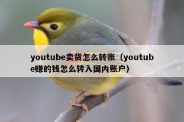 youtube卖货怎么转账（youtube赚的钱怎么转入国内账户）