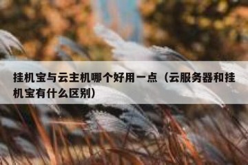 挂机宝与云主机哪个好用一点（云服务器和挂机宝有什么区别）