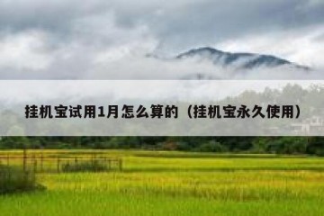 挂机宝试用1月怎么算的（挂机宝永久使用）