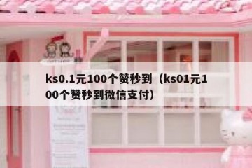 ks0.1元100个赞秒到（ks01元100个赞秒到微信支付）
