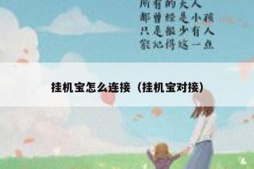 挂机宝怎么连接（挂机宝对接）