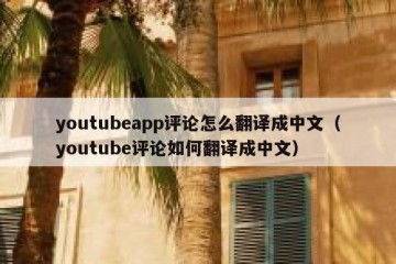 youtubeapp评论怎么翻译成中文（youtube评论如何翻译成中文）