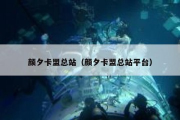 颜夕卡盟总站（颜夕卡盟总站平台）