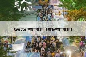 twitter推广费用（推特推广费用）