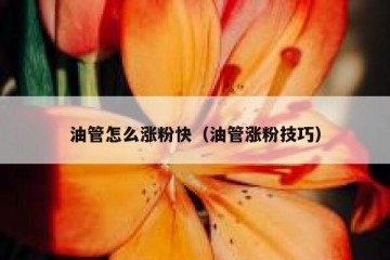 油管怎么涨粉快（油管涨粉技巧）