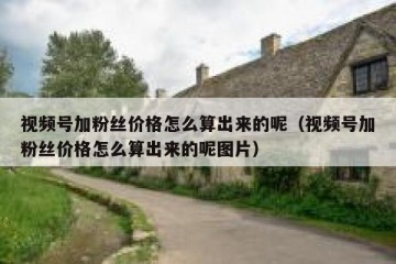 视频号加粉丝价格怎么算出来的呢（视频号加粉丝价格怎么算出来的呢图片）