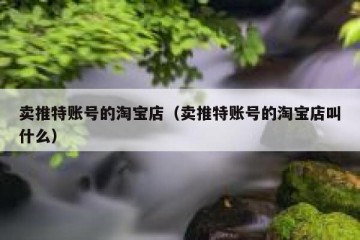卖推特账号的淘宝店（卖推特账号的淘宝店叫什么）