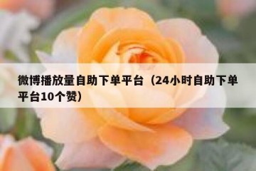 微博播放量自助下单平台（24小时自助下单平台10个赞）