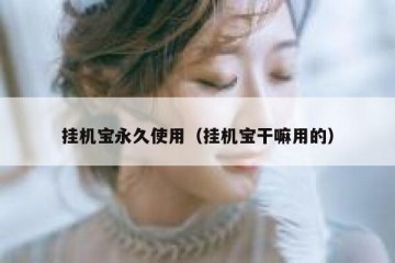 挂机宝永久使用（挂机宝干嘛用的）