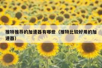 推特推荐的加速器有哪些（推特比较好用的加速器）