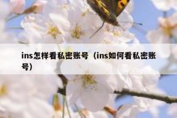 ins怎样看私密账号（ins如何看私密账号）