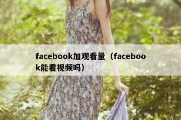 facebook加观看量（facebook能看视频吗）