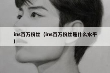ins百万粉丝（ins百万粉丝是什么水平）