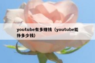 youtube有多赚钱（youtube能挣多少钱）