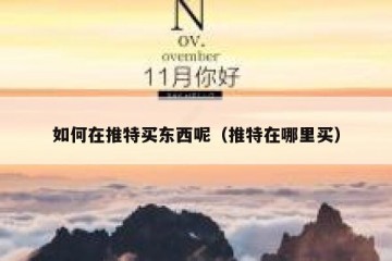 如何在推特买东西呢（推特在哪里买）
