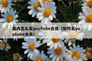 国内怎么买youtube会员（如何买youtube会员）