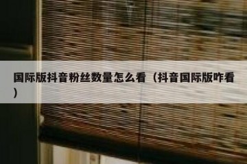 国际版抖音粉丝数量怎么看（抖音国际版咋看）