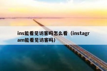 ins能看见访客吗怎么看（instagram能看见访客吗）
