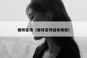 推特宣传（推特宣传语有哪些）