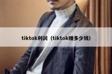 tiktok利润（tiktok赚多少钱）