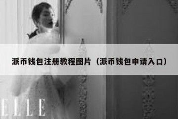 派币钱包注册教程图片（派币钱包申请入口）