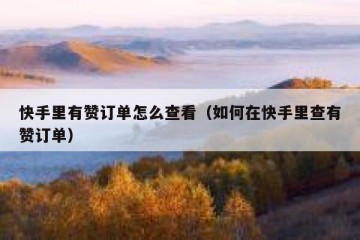 快手里有赞订单怎么查看（如何在快手里查有赞订单）