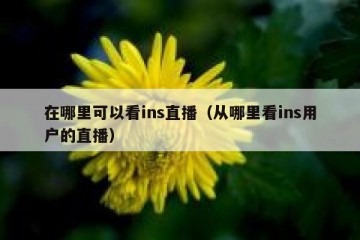 在哪里可以看ins直播（从哪里看ins用户的直播）
