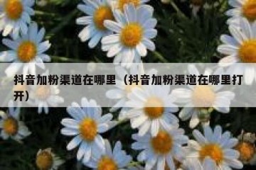 抖音加粉渠道在哪里（抖音加粉渠道在哪里打开）