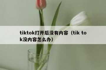 tiktok打开后没有内容（tik tok没内容怎么办）