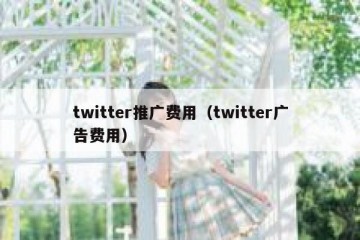 twitter推广费用（twitter广告费用）