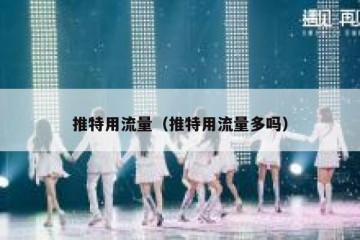 推特用流量（推特用流量多吗）