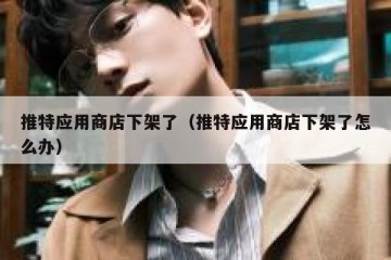 推特应用商店下架了（推特应用商店下架了怎么办）