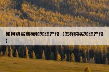 如何购买商标和知识产权（怎样购买知识产权）