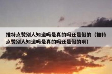 推特点赞别人知道吗是真的吗还是假的（推特点赞别人知道吗是真的吗还是假的啊）