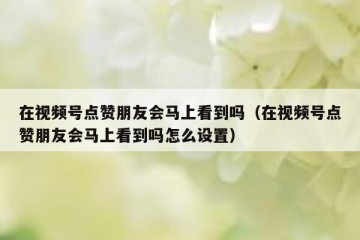 在视频号点赞朋友会马上看到吗（在视频号点赞朋友会马上看到吗怎么设置）
