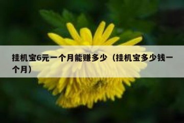 挂机宝6元一个月能赚多少（挂机宝多少钱一个月）