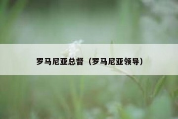 罗马尼亚总督（罗马尼亚领导）