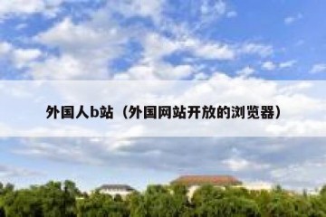 外国人b站（外国网站开放的浏览器）