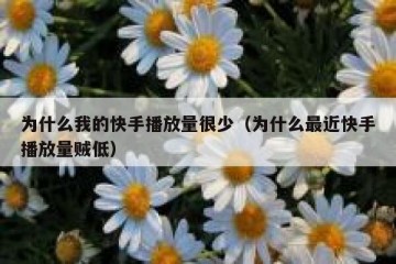 为什么我的快手播放量很少（为什么最近快手播放量贼低）