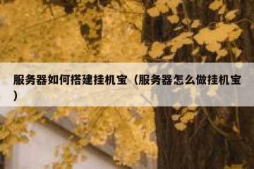 服务器如何搭建挂机宝（服务器怎么做挂机宝）