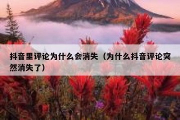 抖音里评论为什么会消失（为什么抖音评论突然消失了）