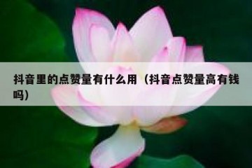 抖音里的点赞量有什么用（抖音点赞量高有钱吗）