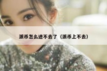 派币怎么进不去了（派币上不去）