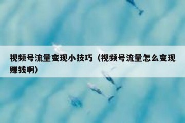 视频号流量变现小技巧（视频号流量怎么变现赚钱啊）
