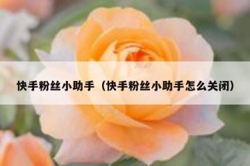 快手粉丝小助手（快手粉丝小助手怎么关闭）